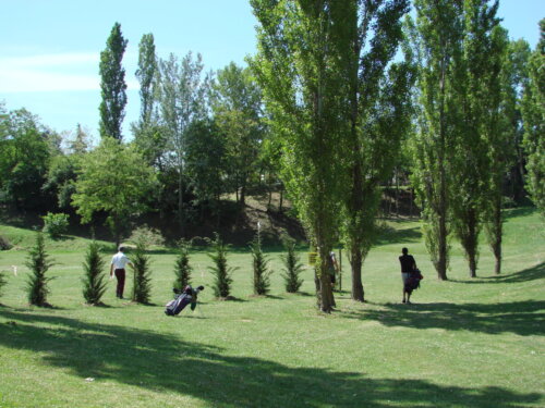 DSC00469